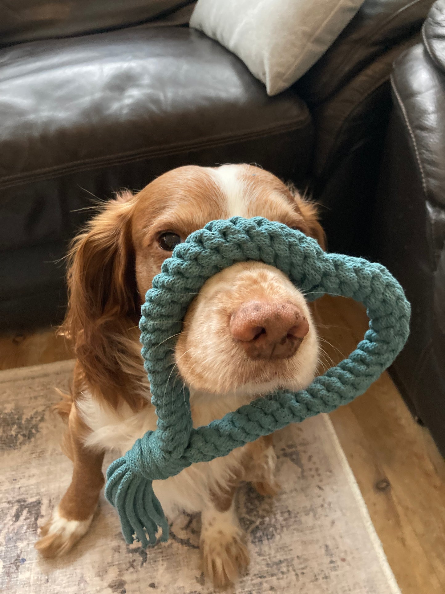 Heart hand-braided 100% recycled cotton cord dog pull toy