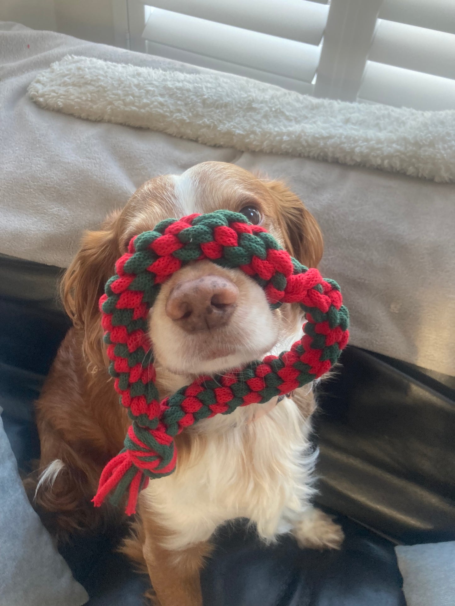 Handmade Christmas Dog Pull Toy Range: Recycled Cotton Tug Toy, Teething Toy