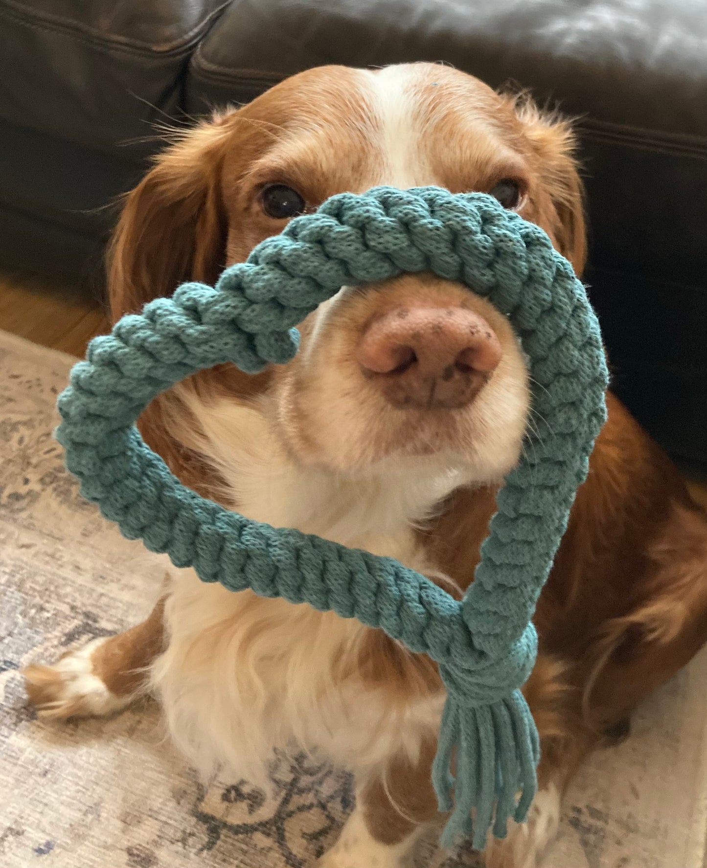 Heart hand-braided 100% recycled cotton cord dog pull toy