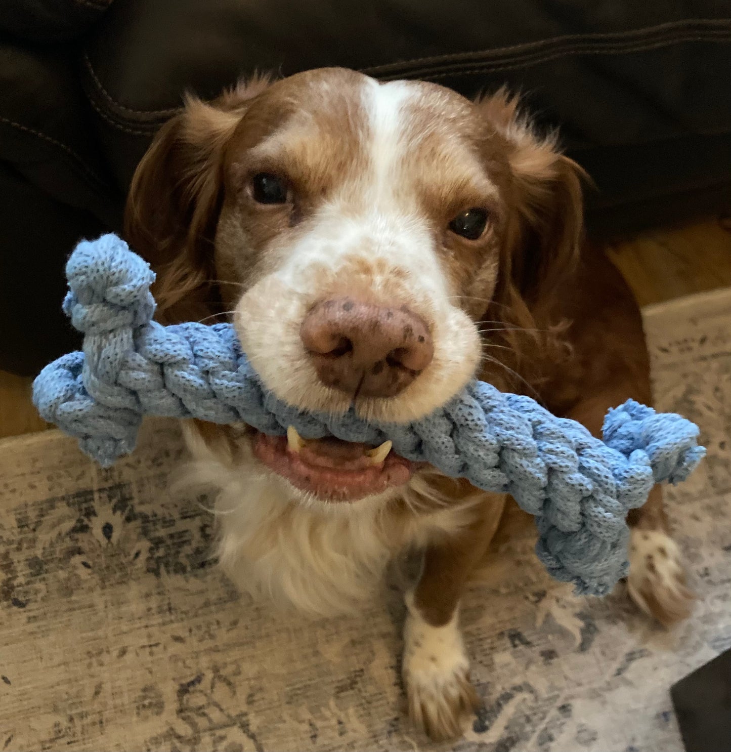 Dog bone tug toy, recycled, eco-friendly, handmade dog toy, pull toy, puppy teething toy