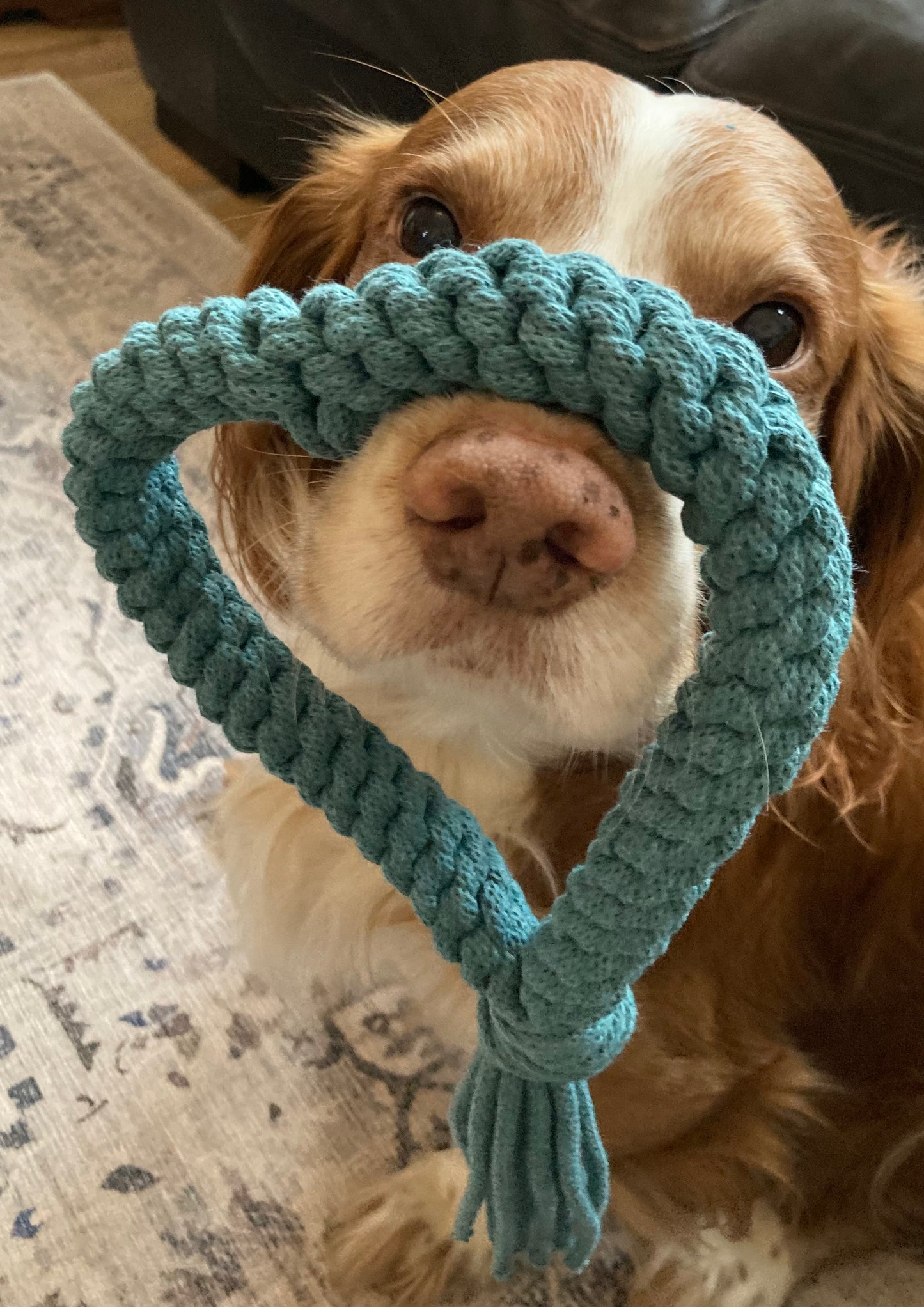 Heart hand-braided 100% recycled cotton cord dog pull toy