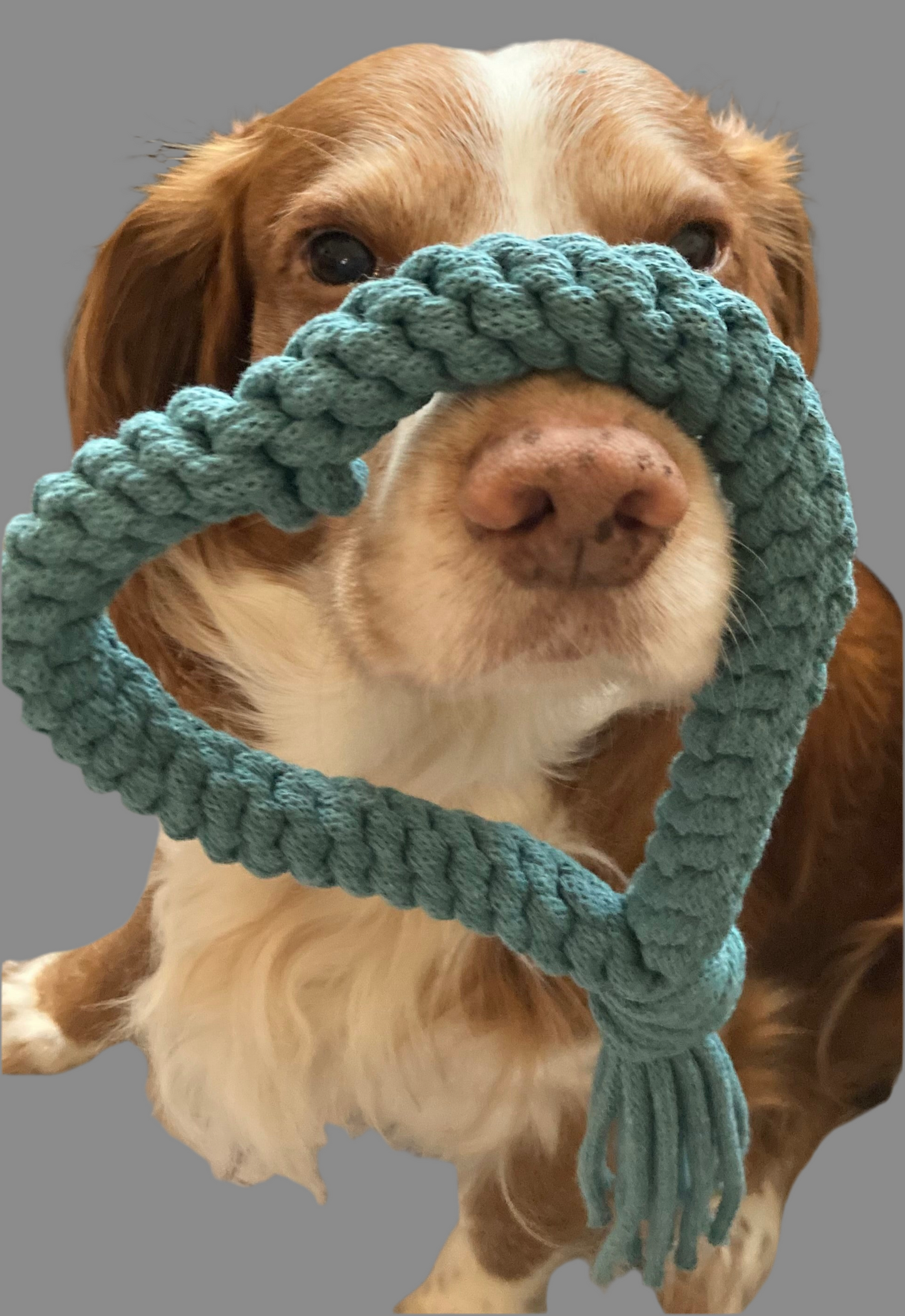 Dog heart tug toy, recycled, eco-friendly, handmade dog toy, pull toy, puppy teething toy