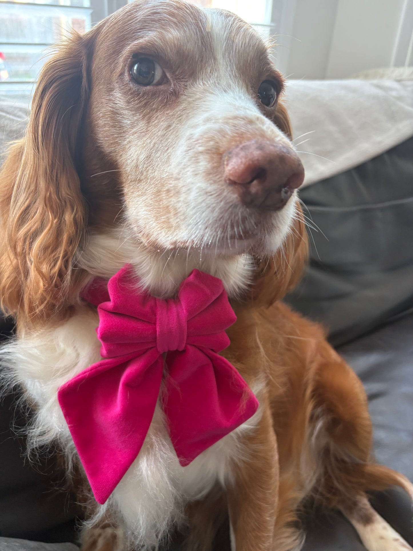 Pink Velvet Dog Sailor Bow Tie-Handmade Luxury Collar Accessory