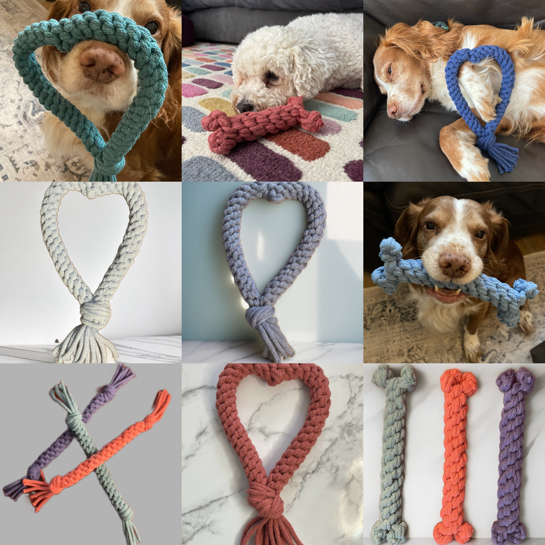 Dog Pull Toys Collection