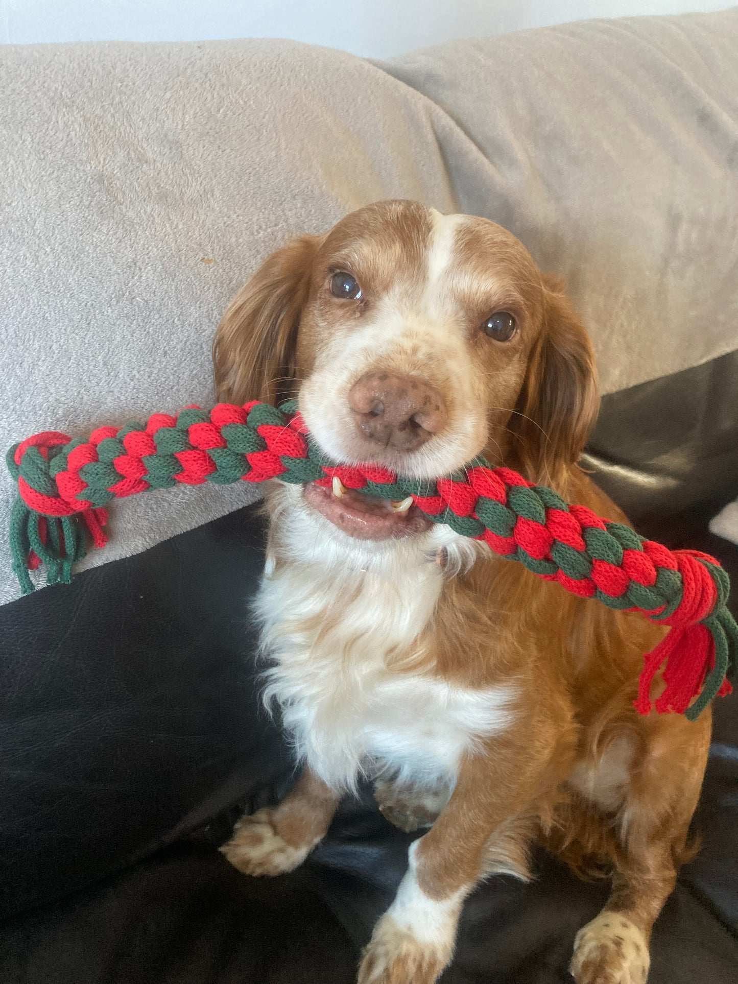 Handmade Christmas Dog Pull Toy Range: Recycled Cotton Tug Toy, Teething Toy