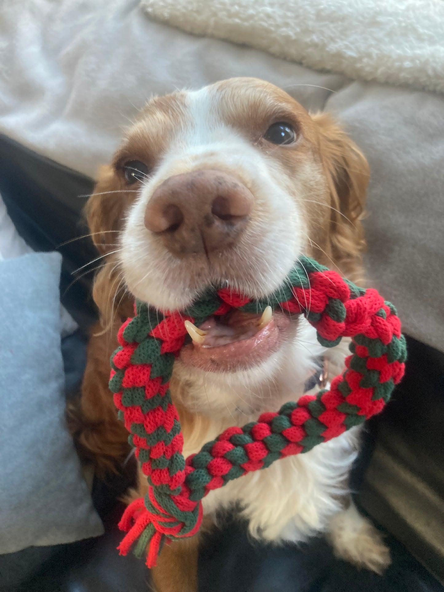 Handmade Christmas Dog Pull Toy Range: Recycled Cotton Tug Toy, Teething Toy