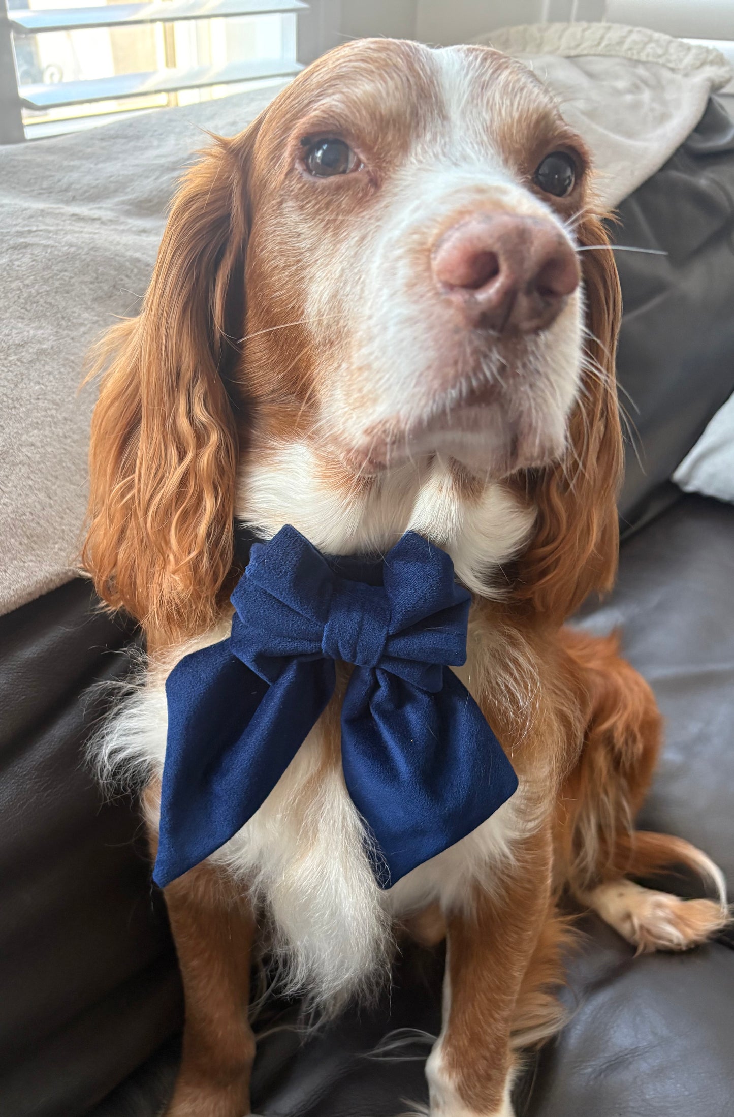 Navy Velvet Dog Sailor Bow Tie: Handmade Luxury Collar Accessory