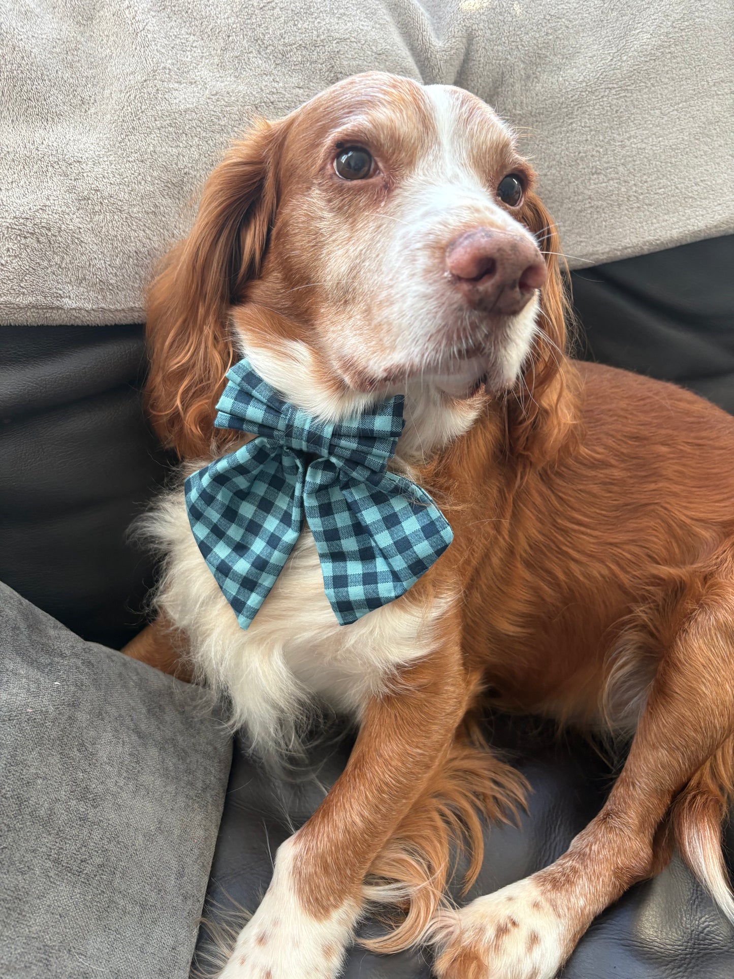 Navy & Teal Check Dog Sailor Bow – Handmade Collar Accessory