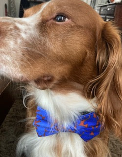 Ombre Leaf Blue fabric Handmade Personalised Dog Collar set, adjustable collar, lead. bow ties and bandanas